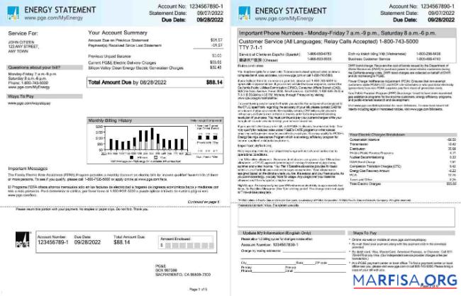 Blank USA California PG&E (Pacific Gas and Electric Company) utility bill, Word and PDF template, 6 pages 1 2